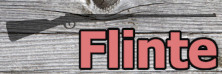 Logo Waffe