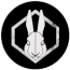 Schneehase  - mehr Dateils anzeigen