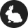 Tierklasse 1